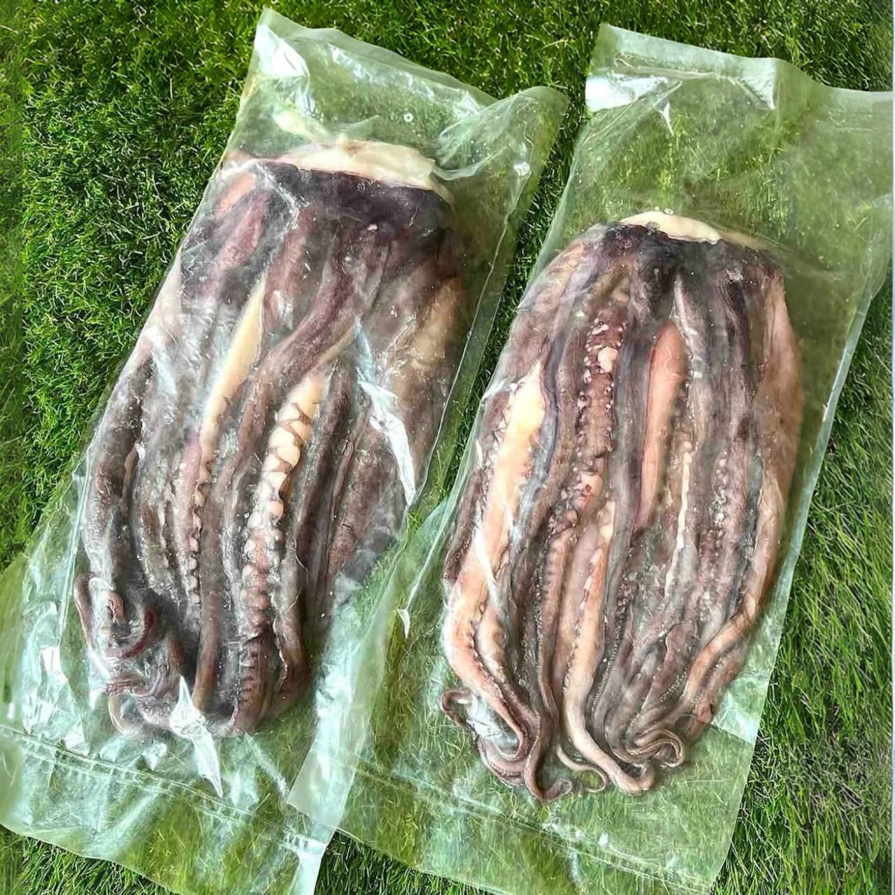 Щупальца Кальмара