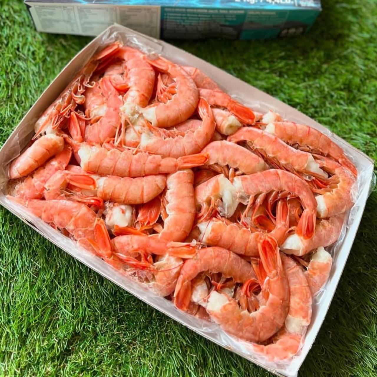 Лангустины Аргентинские