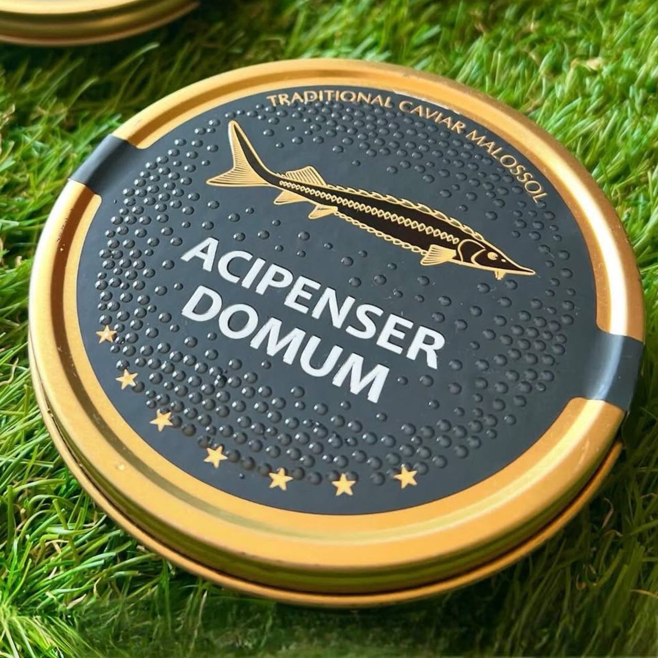 Чёрная Икра