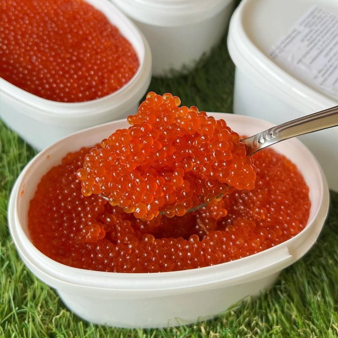 Икра Форели