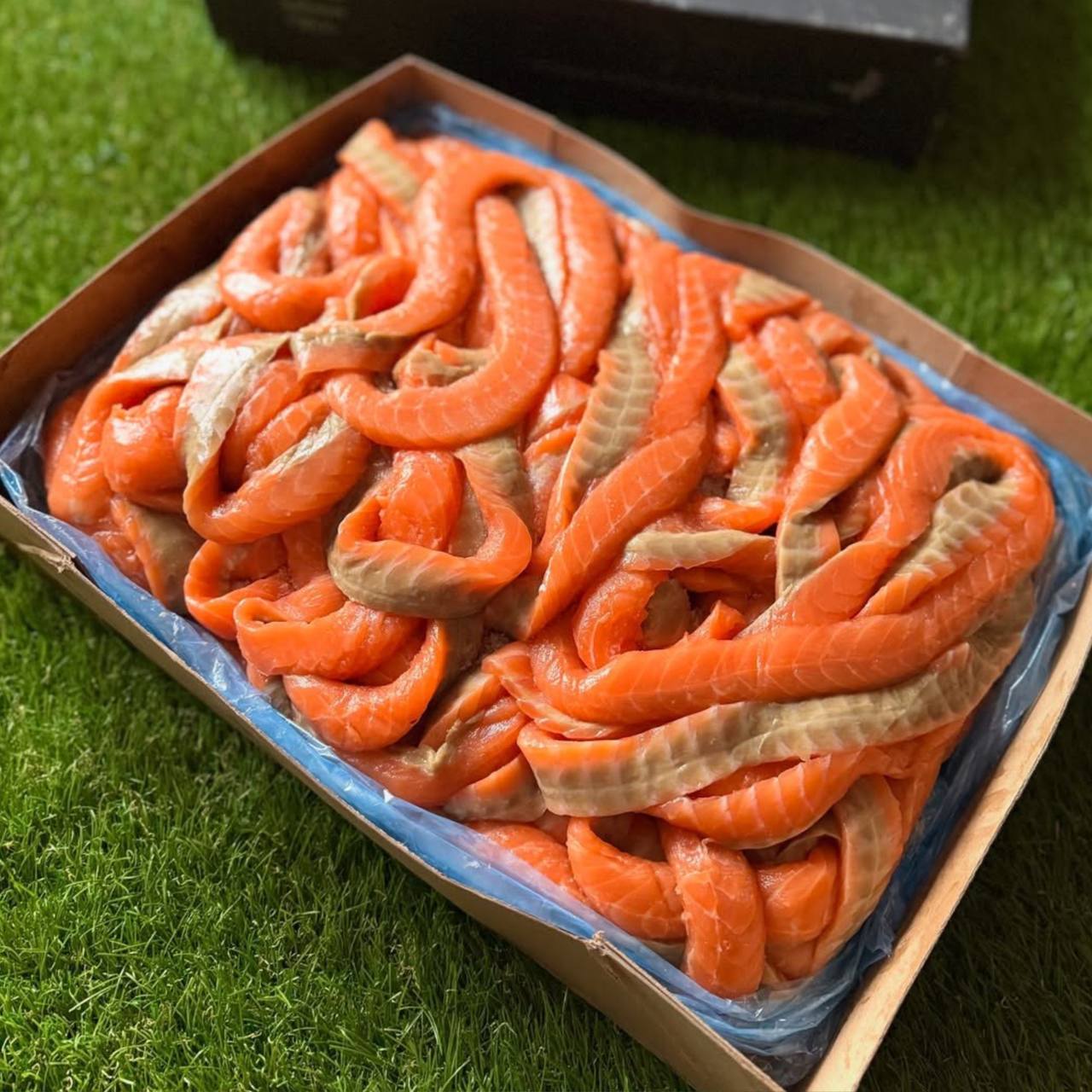 Спинки Семги